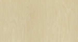 8910-Raw-Birchply.jpg 8910-Raw-Birchply.jpg